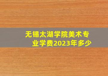 无锡太湖学院美术专业学费2023年多少