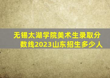 无锡太湖学院美术生录取分数线2023山东招生多少人