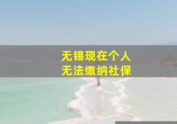 无锡现在个人无法缴纳社保