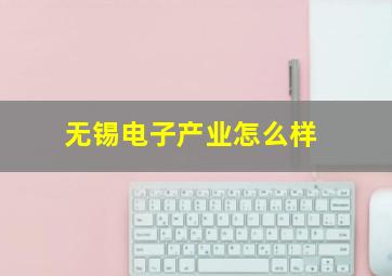 无锡电子产业怎么样