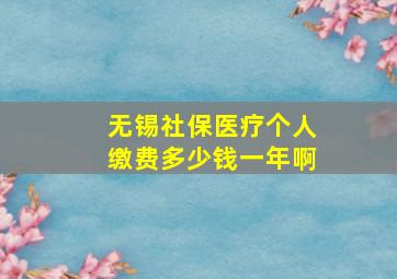 无锡社保医疗个人缴费多少钱一年啊