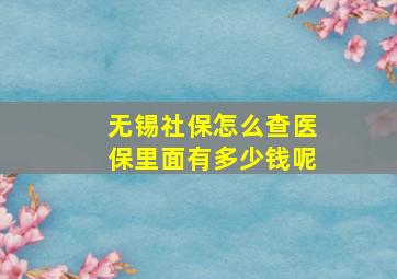 无锡社保怎么查医保里面有多少钱呢