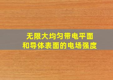 无限大均匀带电平面和导体表面的电场强度