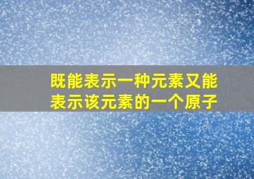 既能表示一种元素又能表示该元素的一个原子