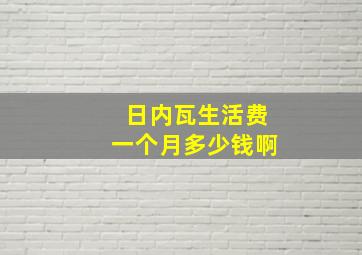 日内瓦生活费一个月多少钱啊