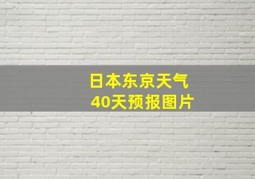 日本东京天气40天预报图片