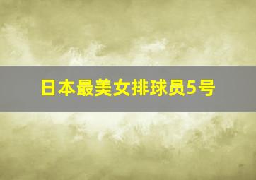 日本最美女排球员5号