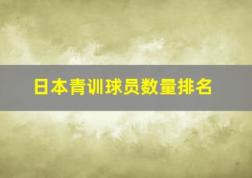 日本青训球员数量排名