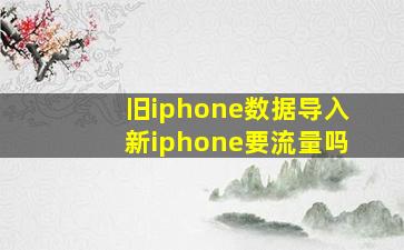 旧iphone数据导入新iphone要流量吗