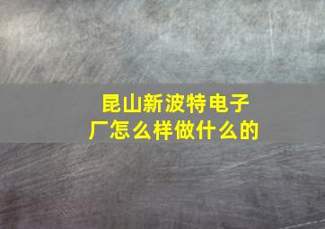 昆山新波特电子厂怎么样做什么的