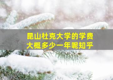 昆山杜克大学的学费大概多少一年呢知乎