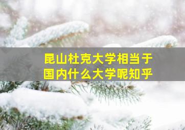 昆山杜克大学相当于国内什么大学呢知乎