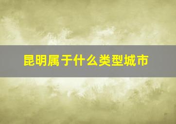 昆明属于什么类型城市