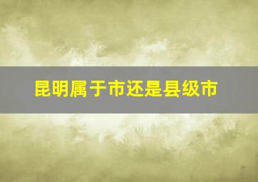 昆明属于市还是县级市