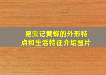 昆虫记黄蜂的外形特点和生活特征介绍图片