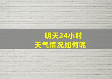 明天24小时天气情况如何呢