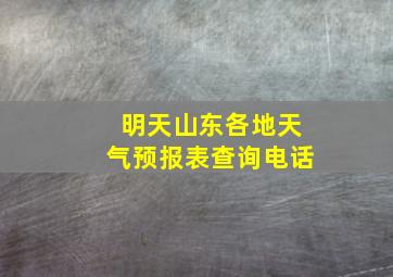 明天山东各地天气预报表查询电话