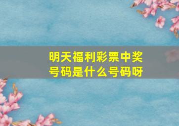 明天福利彩票中奖号码是什么号码呀