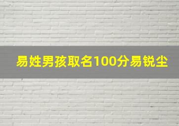 易姓男孩取名100分易锐尘