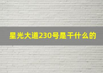 星光大道230号是干什么的