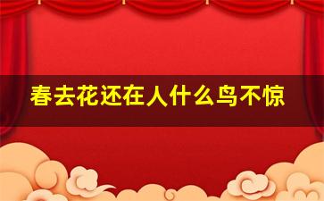 春去花还在人什么鸟不惊