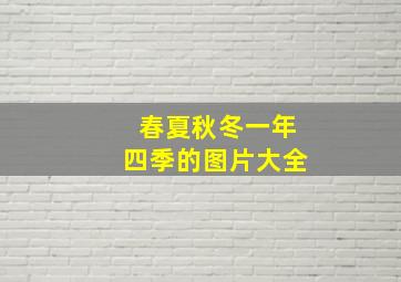 春夏秋冬一年四季的图片大全