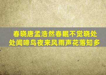 春晓唐孟浩然春眠不觉晓处处闻啼鸟夜来风雨声花落知多