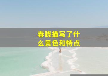 春晓描写了什么景色和特点