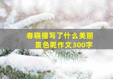 春晓描写了什么美丽景色呢作文300字