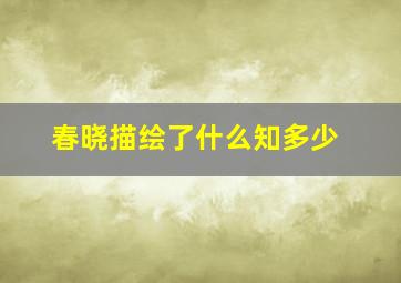 春晓描绘了什么知多少