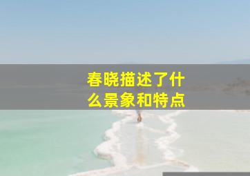 春晓描述了什么景象和特点