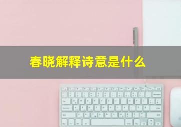 春晓解释诗意是什么