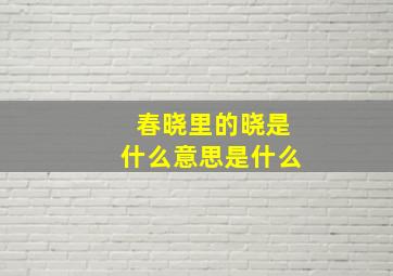 春晓里的晓是什么意思是什么