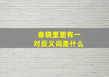 春晓里面有一对反义词是什么