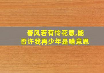 春风若有怜花意,能否许我再少年是啥意思