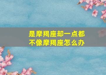 是摩羯座却一点都不像摩羯座怎么办