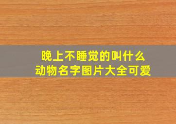 晚上不睡觉的叫什么动物名字图片大全可爱