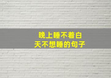 晚上睡不着白天不想睡的句子