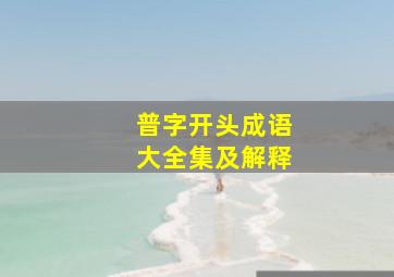 普字开头成语大全集及解释