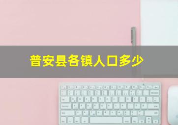 普安县各镇人口多少