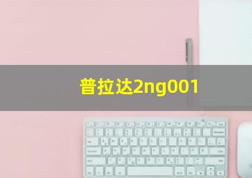 普拉达2ng001