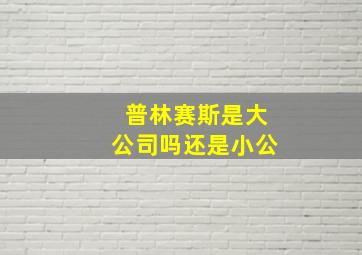 普林赛斯是大公司吗还是小公