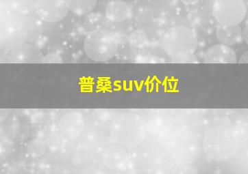 普桑suv价位