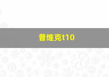 普维克t10