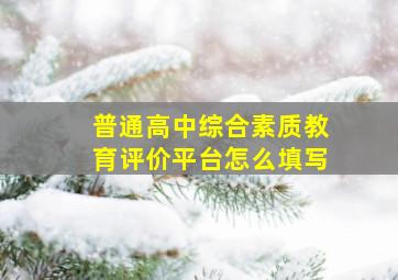 普通高中综合素质教育评价平台怎么填写