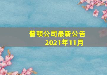 普顿公司最新公告2021年11月