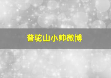 普驼山小帅微博