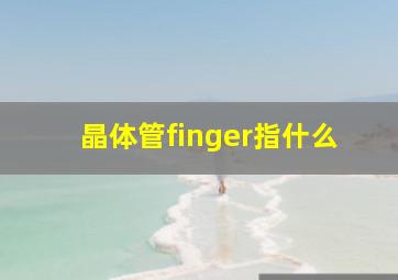 晶体管finger指什么