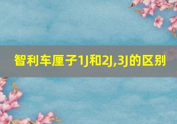 智利车厘子1J和2J,3J的区别