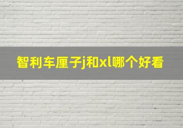 智利车厘子j和xl哪个好看